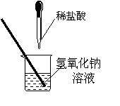 向烧杯中的氢氧化钠溶液滴加稀盐酸一会儿后