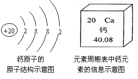 原子结构示意图可以方便简明地表示原子核外电子的排布,元素周期表是