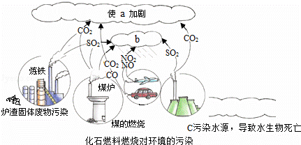 如图表示的是化石燃料燃烧对环境造成的污染.请写出