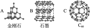 (1)碳原子的结构