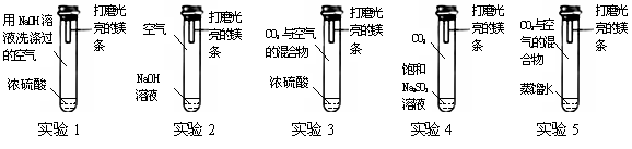 镁条在空气中久置表面会变黑.某小组同学设计并进行实验,探究镁条变黑