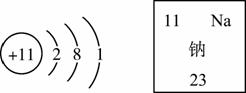如图是两种原子的结构示意图和它在元素周期表中的部分信息,完成下列