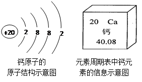 原子结构示意图可以方便简明地表示原子核外电子的,表