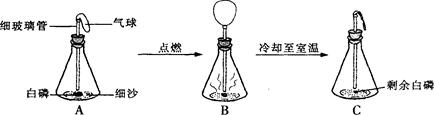 白磷在锥形瓶是燃烧图片红磷燃烧实验质量守恒道尔顿定律红磷燃烧探究