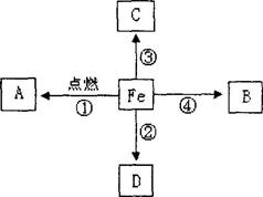 (7分)右图是关于铁的化学性质的知识网络图(箭头表示转化方向,部分